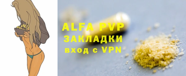 дживик Осташков
