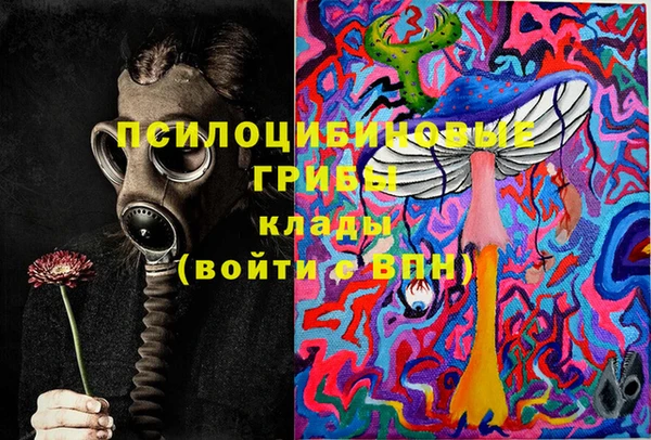 шишки Гусиноозёрск