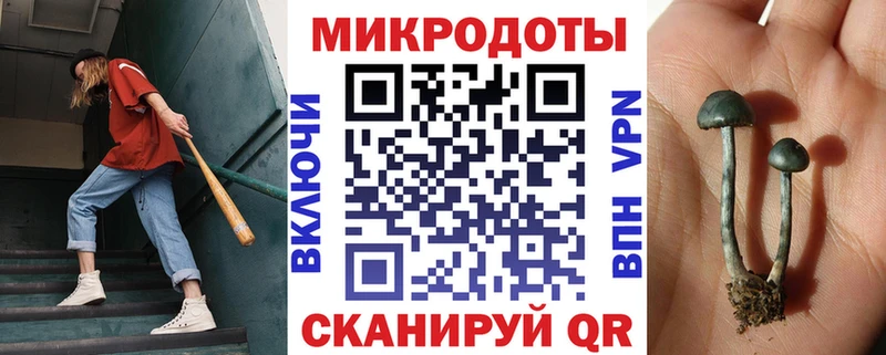 Псилоцибиновые грибы Cubensis Барабинск