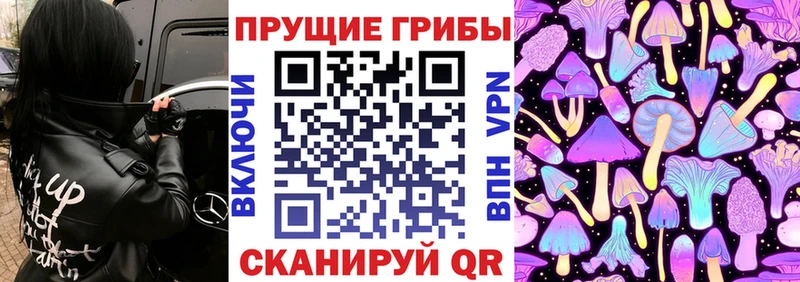 купить закладку  Барабинск  Псилоцибиновые грибы ЛСД 